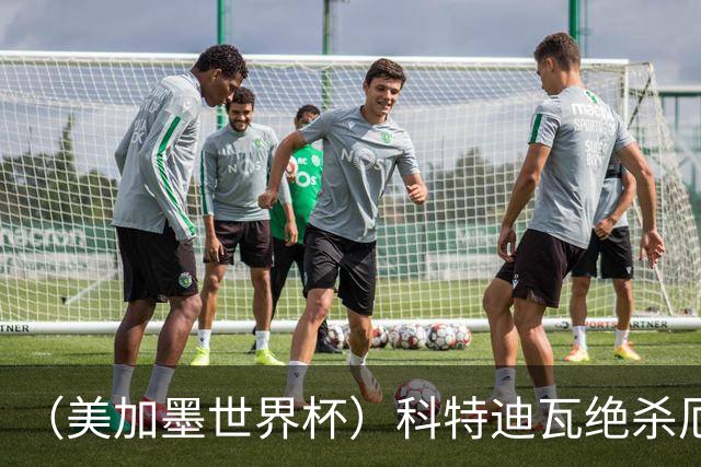 （美加墨世界杯）科特迪瓦绝杀厄瓜多尔 瑞典5:1大胜突尼斯